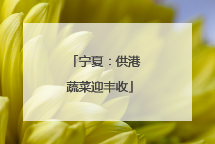 宁夏：供港蔬菜迎丰收