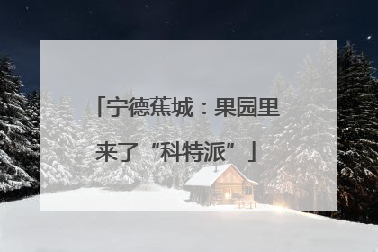 宁德蕉城：果园里来了“科特派”