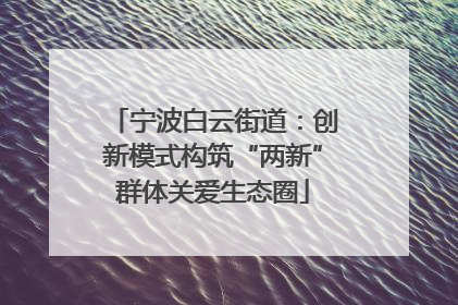 宁波白云街道：创新模式构筑“两新”群体关爱生态圈