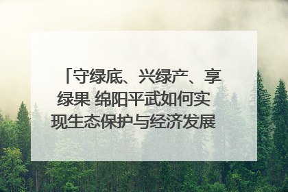 守绿底、兴绿产、享绿果 绵阳平武如何实现生态保护与经济发展双赢？｜新闻发布最前线·深一度