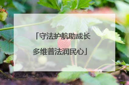 守法护航助成长 多维普法润民心