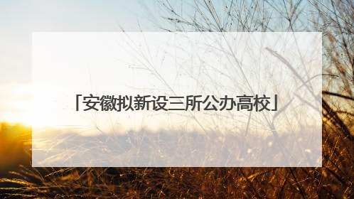 安徽拟新设三所公办高校