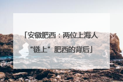安徽肥西：两位上海人“链上”肥西的背后