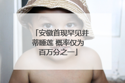 安徽首现罕见并蒂睡莲 概率仅为百万分之一