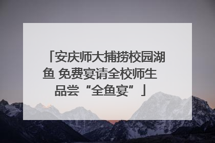 安庆师大捕捞校园湖鱼 免费宴请全校师生品尝“全鱼宴”