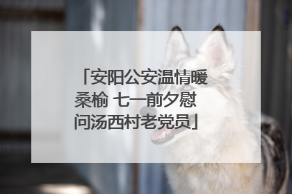 安阳公安温情暖桑榆 七一前夕慰问汤西村老党员