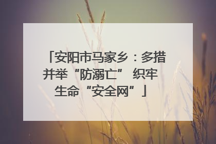 安阳市马家乡：多措并举“防溺亡” 织牢生命“安全网”