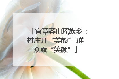宜章莽山瑶族乡：村庄开“美颜” 群众露“笑颜”