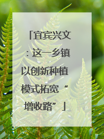 宜宾兴文：这一乡镇以创新种植模式拓宽“增收路”