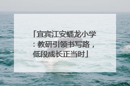 宜宾江安蟠龙小学：教研引领书写路，低段成长正当时