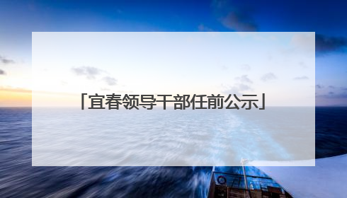 宜春领导干部任前公示