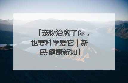 宠物治愈了你，也要科学爱它｜新民·健康新知