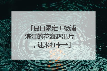 夏日限定！杨浦滨江的花海超出片，速来打卡→