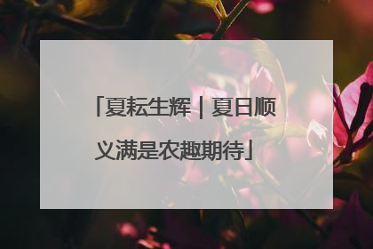 夏耘生辉｜夏日顺义满是农趣期待
