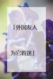 外国友人为它着迷
