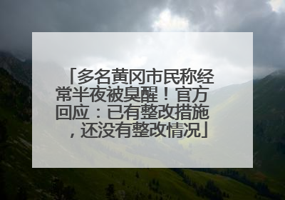 多名黄冈市民称经常半夜被臭醒！官方回应：已有整改措施，还没有整改情况