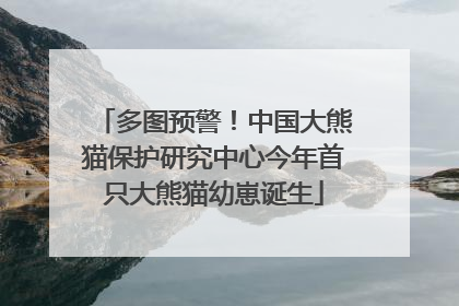 多图预警！中国大熊猫保护研究中心今年首只大熊猫幼崽诞生