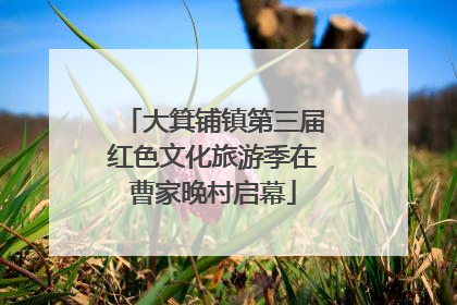 大箕铺镇第三届红色文化旅游季在曹家晚村启幕