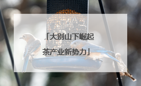 大别山下崛起茶产业新势力