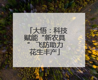 大悟：科技赋能“新农具” 飞防助力花生丰产