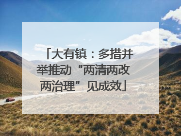 大有镇：多措并举推动“两清两改两治理”见成效