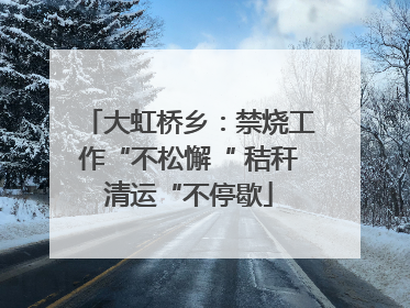 大虹桥乡：禁烧工作“不松懈“ 秸秆清运“不停歇