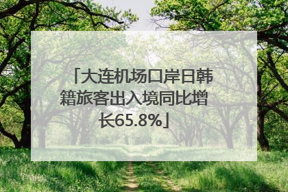 大连机场口岸日韩籍旅客出入境同比增长65.8%
