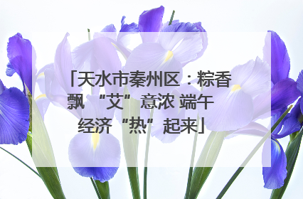 天水市秦州区：粽香飘 “艾”意浓 端午经济“热”起来
