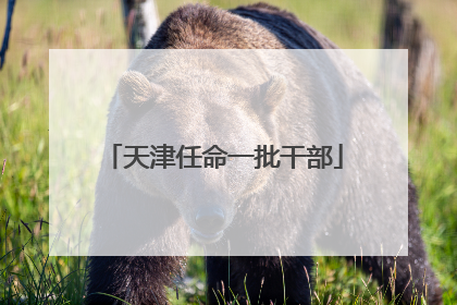 天津任命一批干部