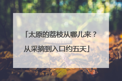 太原的荔枝从哪儿来？从采摘到入口约五天