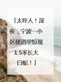 太吓人！深夜，宁波一小区楼道里惊现1.5米长大白蛇！
