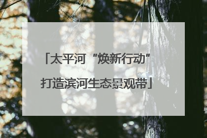 太平河“焕新行动” 打造滨河生态景观带