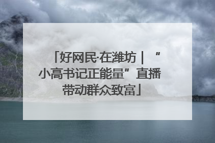好网民·在潍坊｜“小高书记正能量”直播 带动群众致富