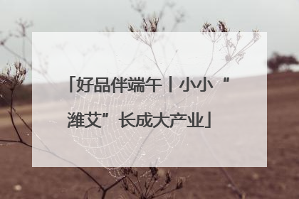 好品伴端午丨小小“潍艾”长成大产业