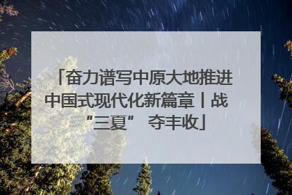 奋力谱写中原大地推进中国式现代化新篇章丨战“三夏” 夺丰收