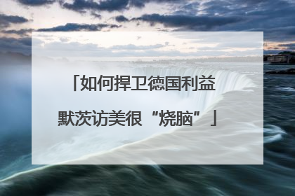 如何捍卫德国利益 默茨访美很“烧脑”