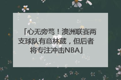 心无旁骛！澳洲联赛两支球队有意林葳，但后者将专注冲击NBA