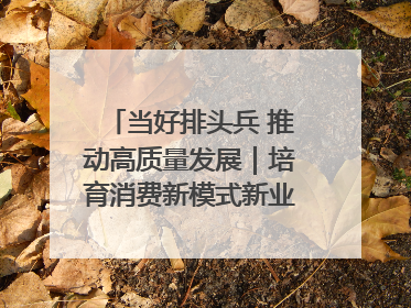 当好排头兵 推动高质量发展｜培育消费新模式新业态 释放经济增长新动能