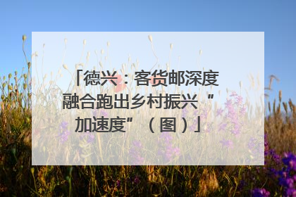 德兴：客货邮深度融合跑出乡村振兴“加速度”（图）