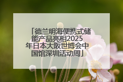 德兰明海便携式储能产品亮相2025年日本大阪世博会中国馆深圳活动周