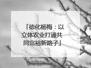 德化杨梅：以立体农业打通共同富裕新路子