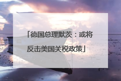 德国总理默茨：或将反击美国关税政策