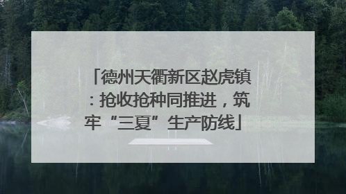 德州天衢新区赵虎镇：抢收抢种同推进，筑牢“三夏”生产防线