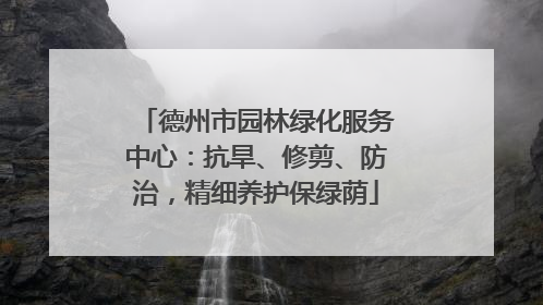 德州市园林绿化服务中心：抗旱、修剪、防治，精细养护保绿荫