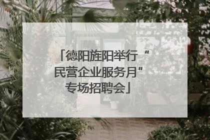 德阳旌阳举行“民营企业服务月”专场招聘会