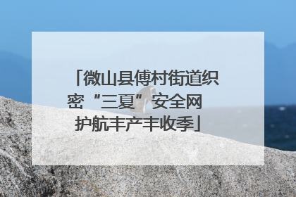 微山县傅村街道织密“三夏”安全网 护航丰产丰收季