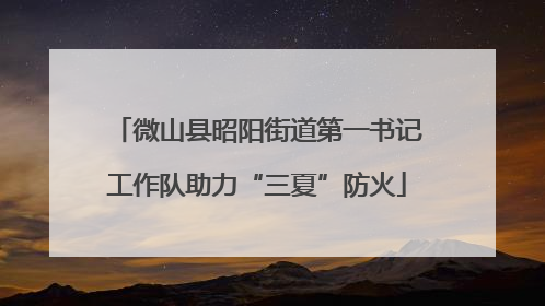 微山县昭阳街道第一书记工作队助力“三夏”防火