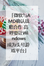 微软与AMD确认战略合作 高呼要让Windows成为头号游戏平台