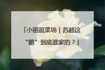 小丽逛菜场｜苏超这“鹅”到底谁家的？