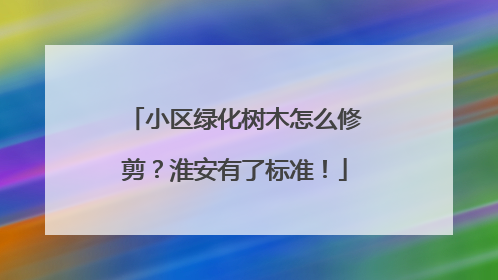 小区绿化树木怎么修剪？淮安有了标准！